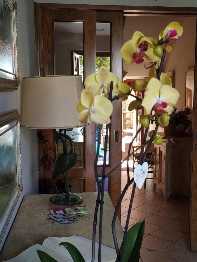 B&B La Casa Di Zia Lina Monsummano Terme Экстерьер фото